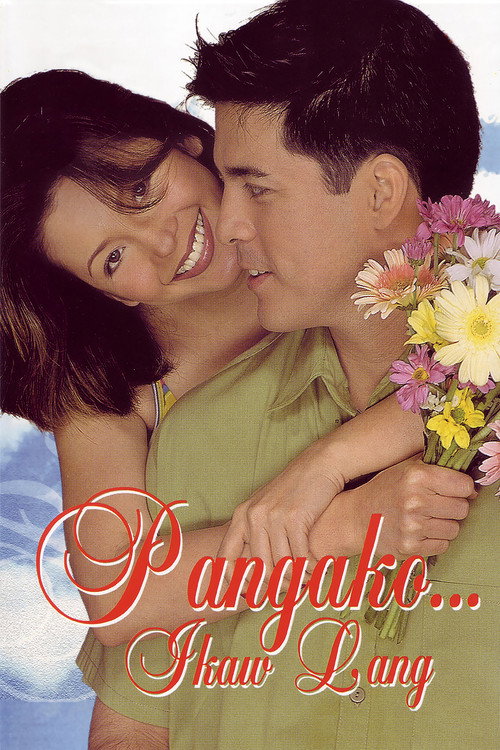Movie poster for Promise... It's Only You (2001)