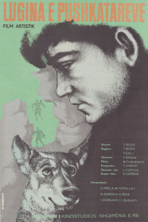 Movie poster for Valley of the Riflemen (1970)