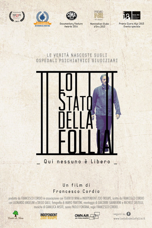 Movie poster for Lo stato della follia (2014)