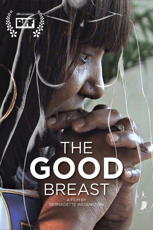 Movie poster for The Good Breast (2016)