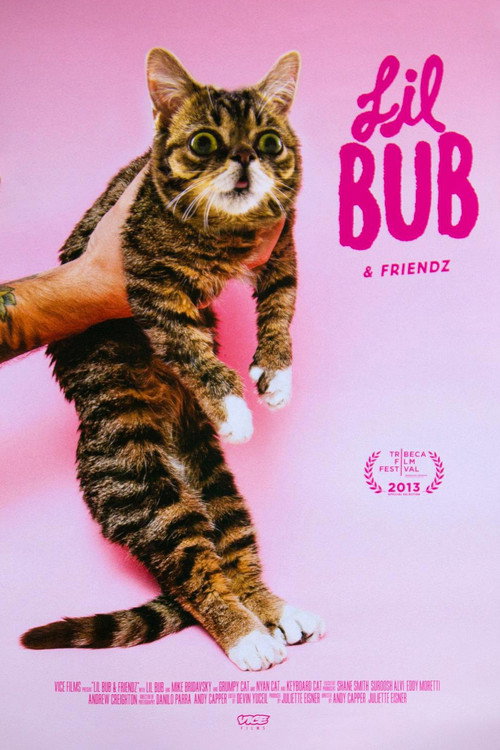 Movie poster for Lil Bub & Friendz (2013)
