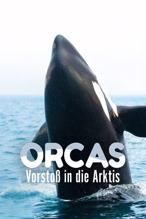 Movie poster for Orcas - Vorstoss in die Arktis (2014)