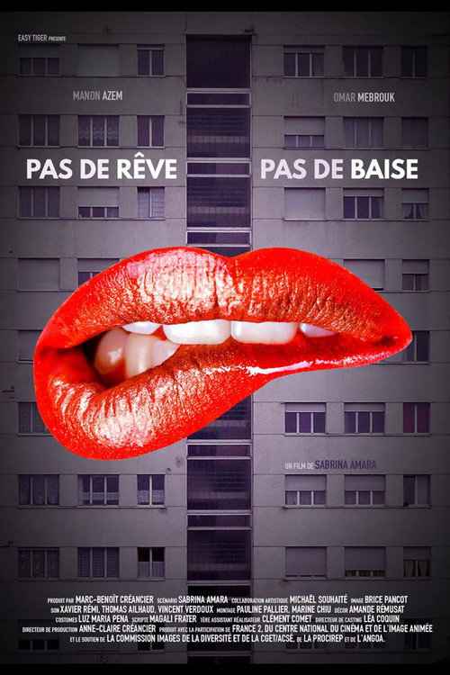 Movie poster for Pas de rêve pas de baise (2016)
