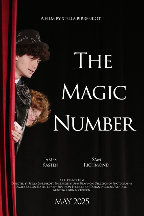 Movie poster for The Magic Number