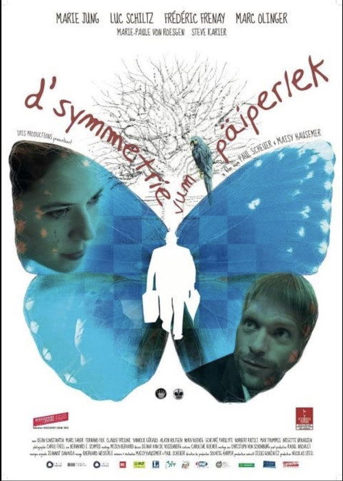 Movie poster for D'Symmetrie vum Päiperlek (2012)