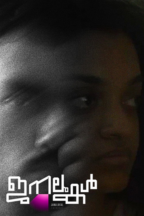 Movie poster for Windows