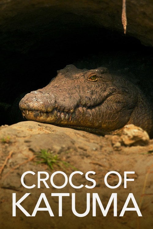 Movie poster for Crocs of Katuma (2010)