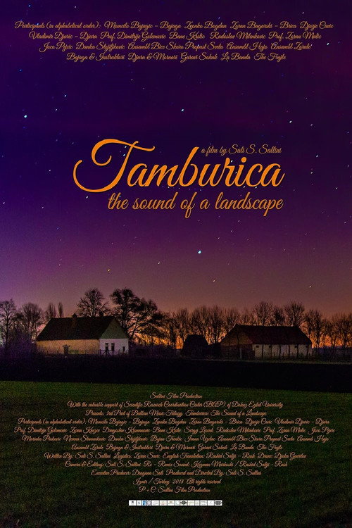 Movie poster for Tamburica: The Sound of a Landscape (2018)