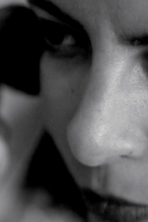 seba mohammed profile