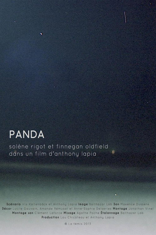 Movie poster for Panda (2014)