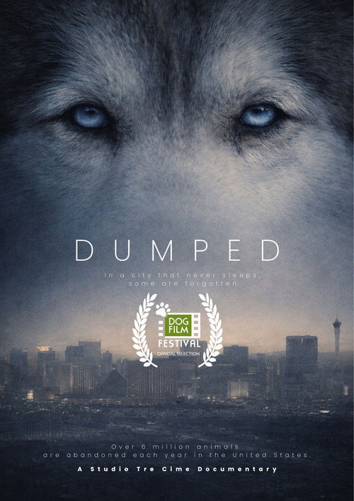 Movie poster for Dumped