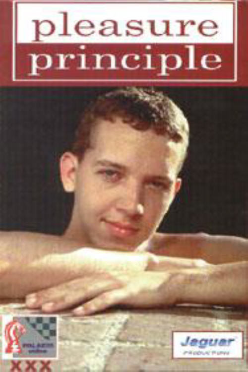 Movie poster for Pleasure Principle (1997)