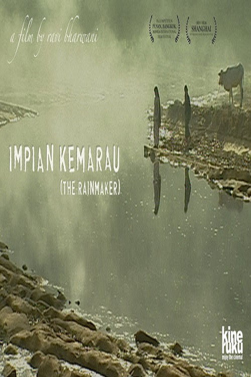 Movie poster for The Rainmaker (2004)