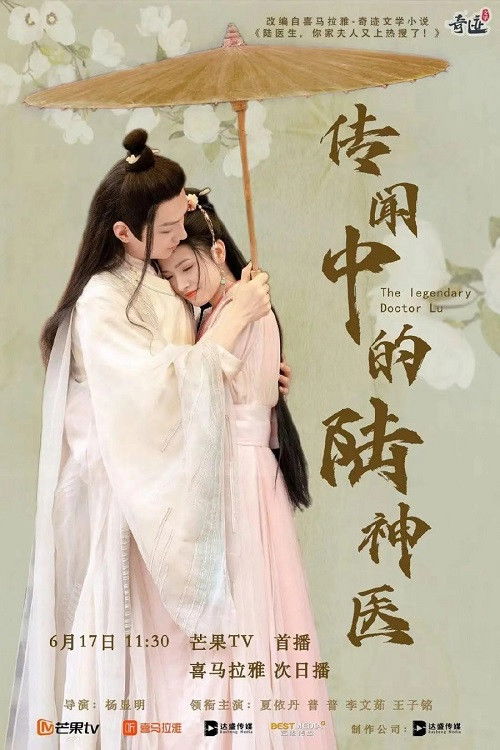 The Legendary Doctor Lu poster