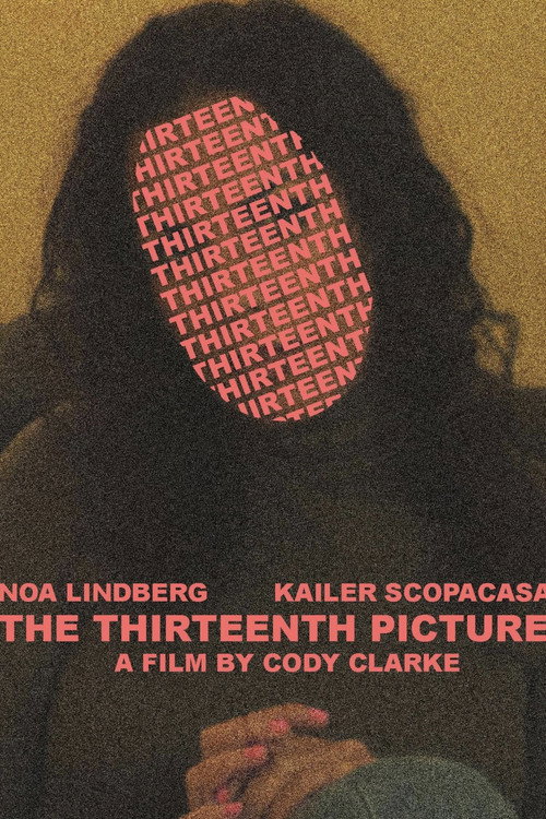 Movie poster for The 13th Picture