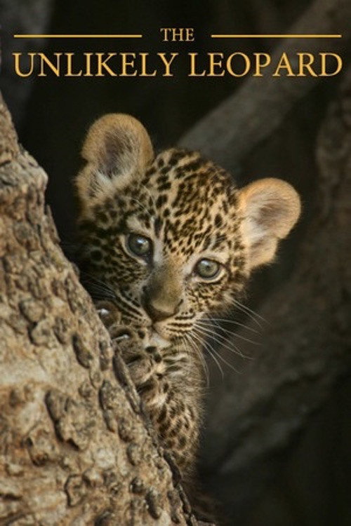 Movie poster for The Unlikely Leopard (2012)