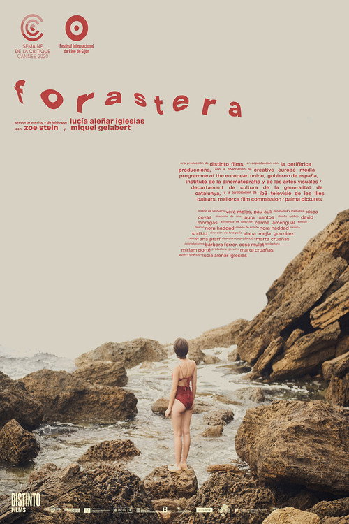 Movie poster for Foreigner (2020)