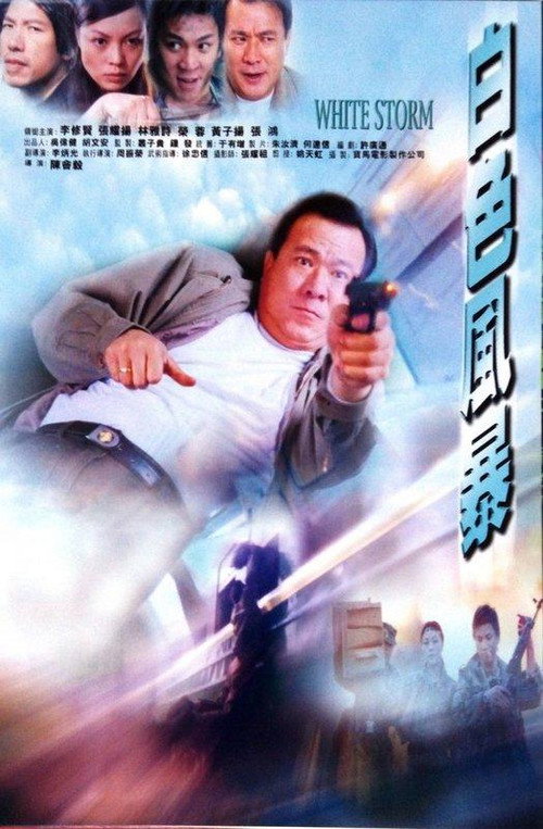 Movie poster for White Storm (2000)