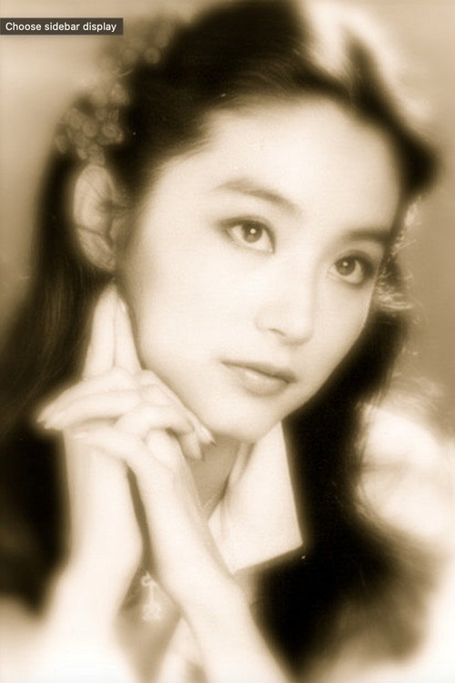 Movie poster for A Portrait of Lin Ching Hsia (1991)