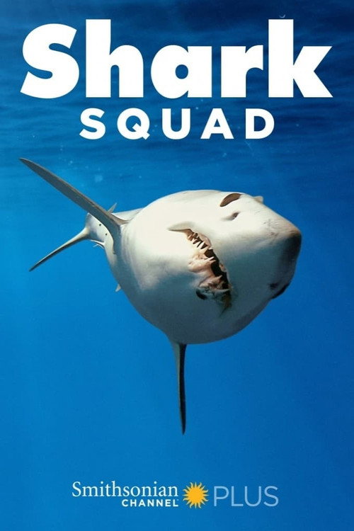 Series poster for Shark Squad (2017)