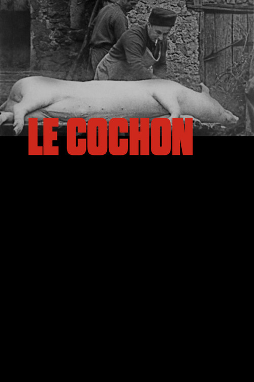 Movie poster for The Pig (1975)