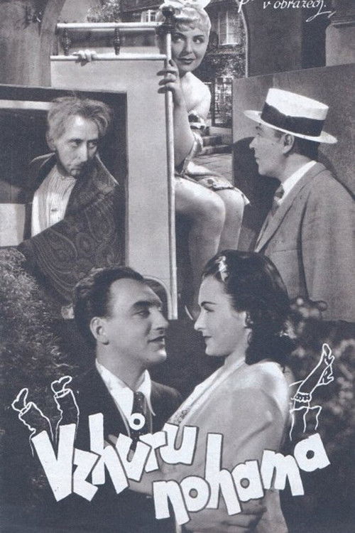 Vzhůru nohama poster