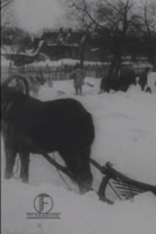 Movie poster for The Great Blizzard in the Baltics in December (1913)