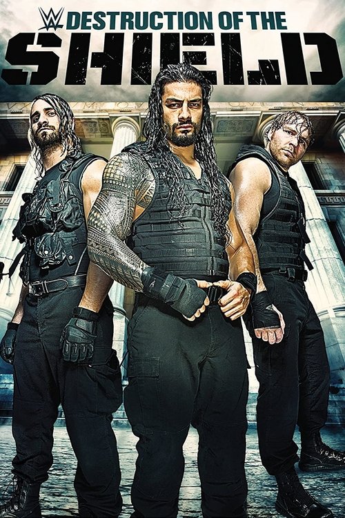 Movie poster for The Destruction of The Shield (2015)