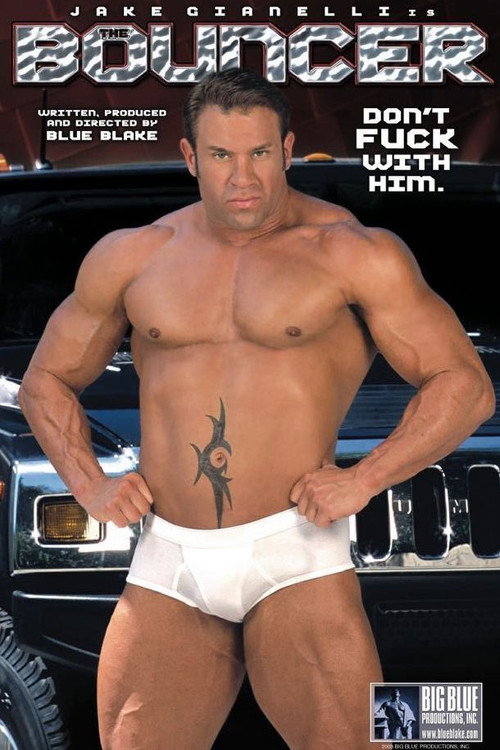 Movie poster for The Bouncer (2003)