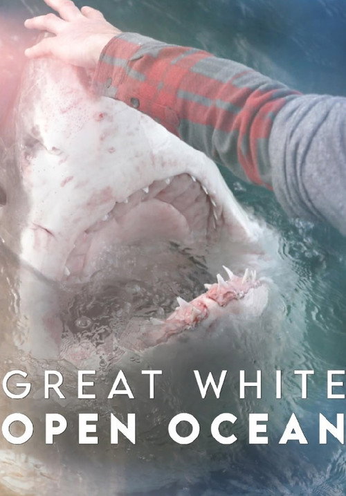 Movie poster for Great White Open Ocean (2022)