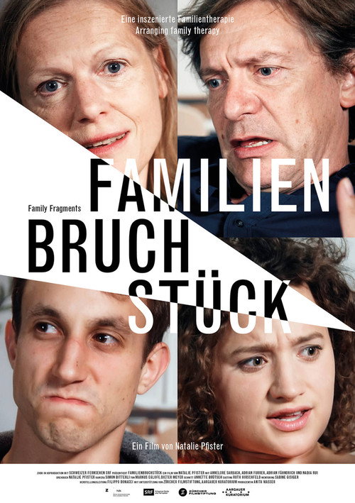 Movie poster for Family Fragments (2015)