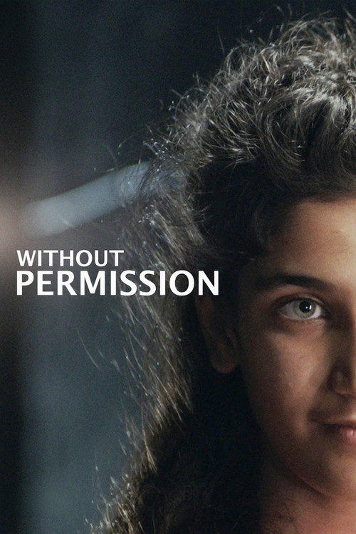 Movie poster for Without Permission (2025)