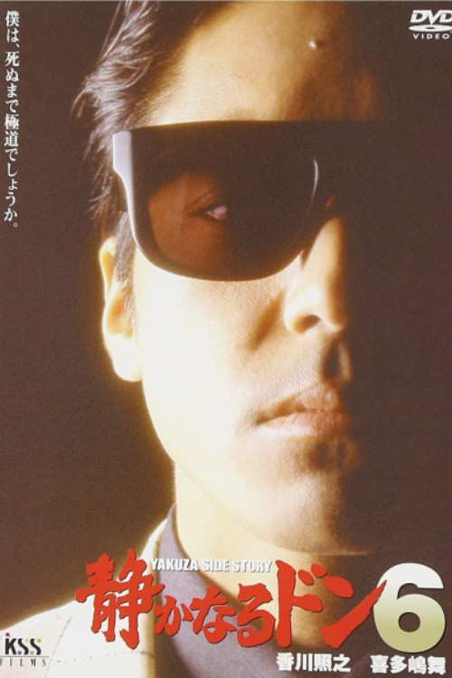 Movie poster for Quiet Don 6 (1993)