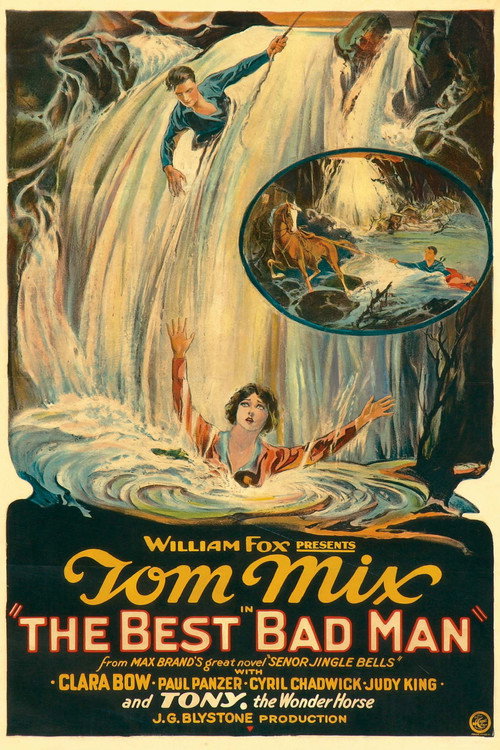 Movie poster for The Best Bad Man (1925)