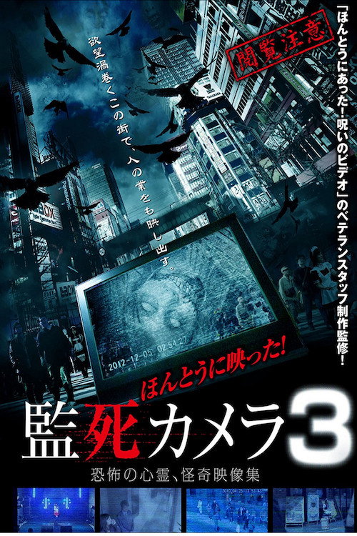 Movie poster for Paranormal Surveillance Camera 3 (2013)