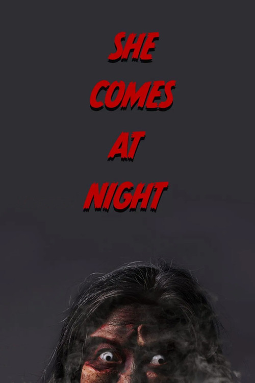 Movie poster for She Comes at Night