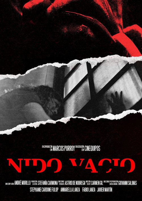 Movie poster for Empty Nest