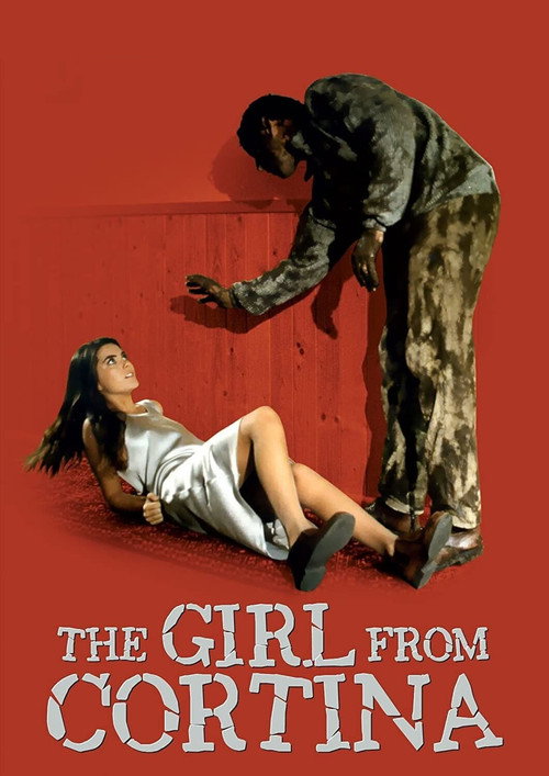 Movie poster for The Girl from Cortina (1994)