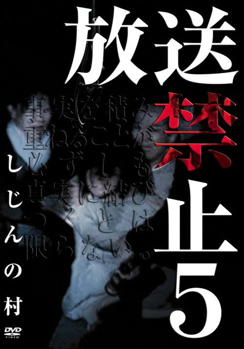 Movie poster for Banned from Broadcast 5: Poet's Village (2006)