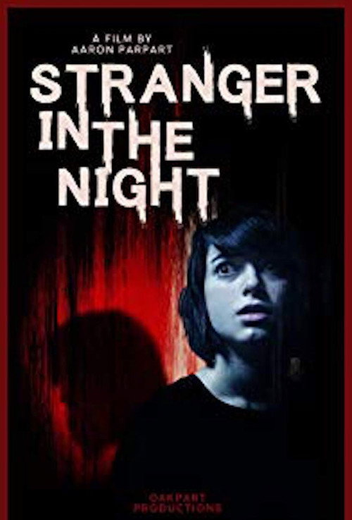 Movie poster for Stranger in the Night (2019)