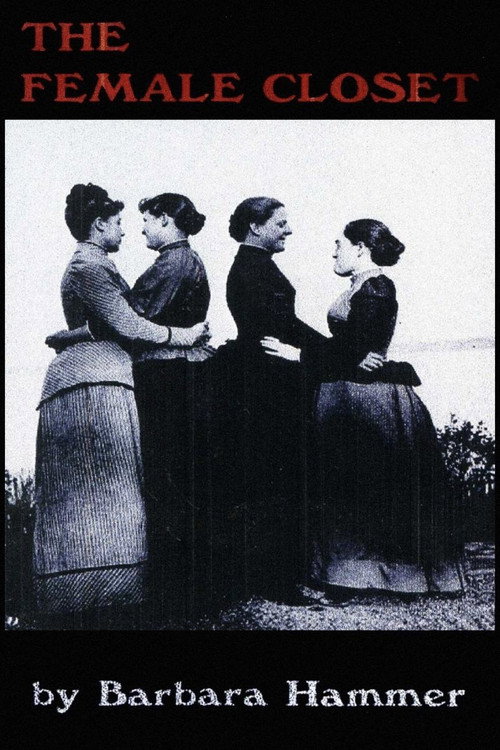 Movie poster for The Female Closet (1998)