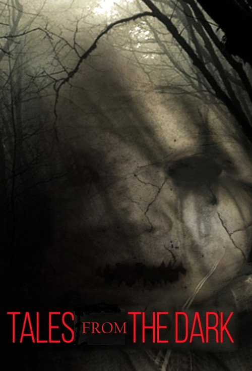 Series poster for Tales From the Dark (2013)