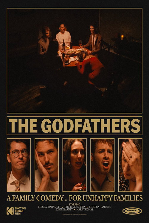 Movie poster for The Godfathers