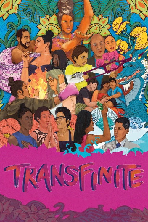 Movie poster for Transfinite (2019)