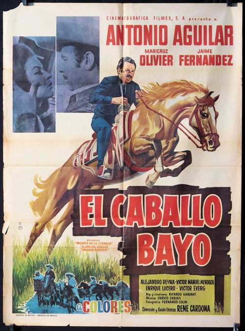 Movie poster for El Caballo Bayo (1969)
