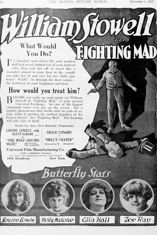 Movie poster for Fighting Mad (1917)