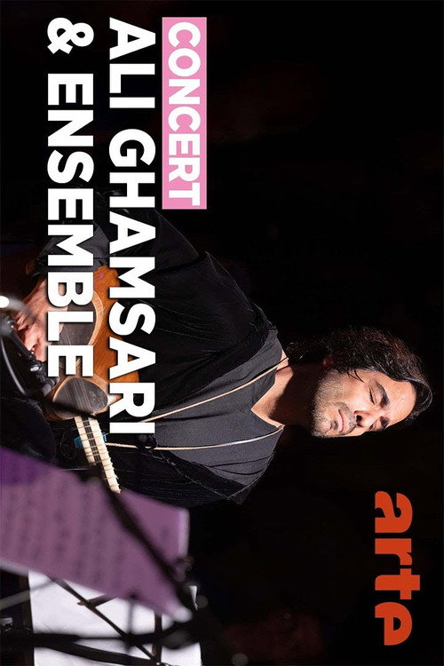 Movie poster for Ali Ghamsari & Ensemble - The Journey of Instruments (2025)