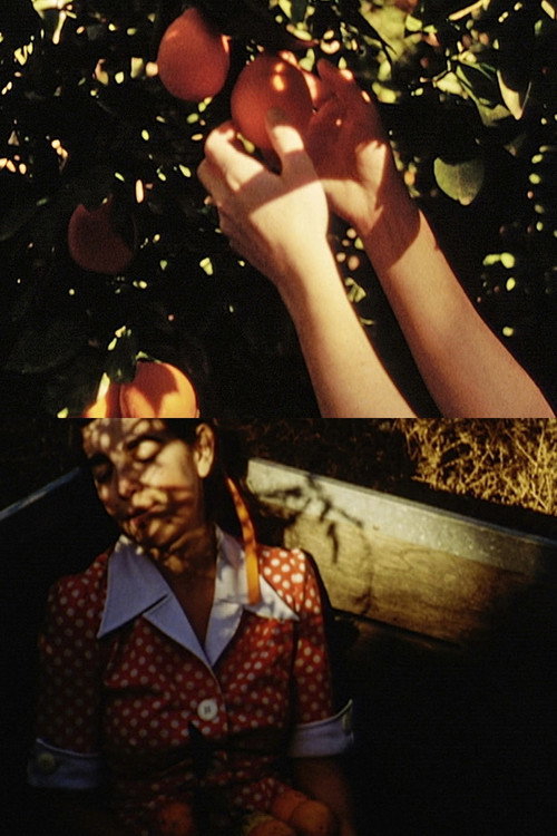 Movie poster for Picking Oranges (2012)