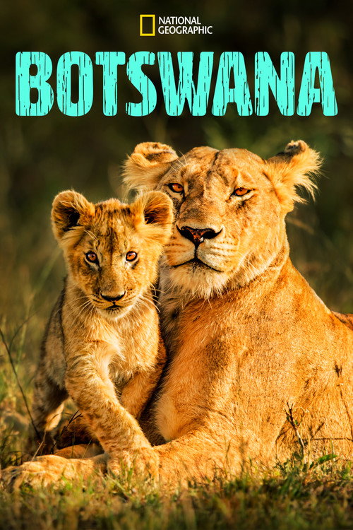 Series poster for Botswana (2017)