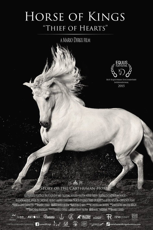 Movie poster for Horse of Kings, Thief of Hearts (2015)